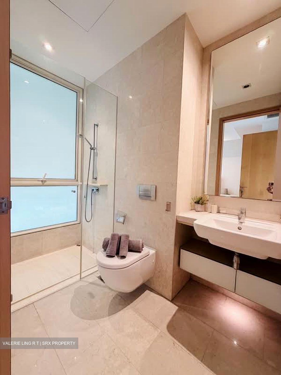 Scotts Highpark (D9), Condominium #583342411